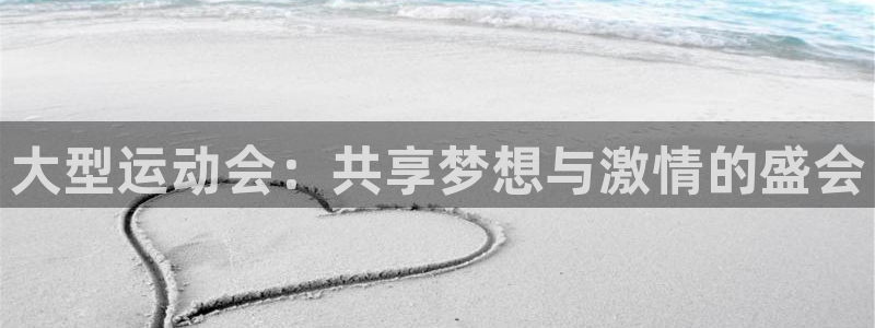 大型运动会：共享梦想与激情的盛会