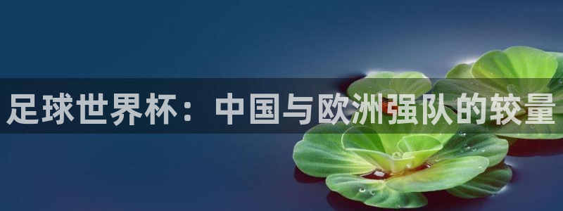 足球世界杯：中国与欧洲强队的较量
