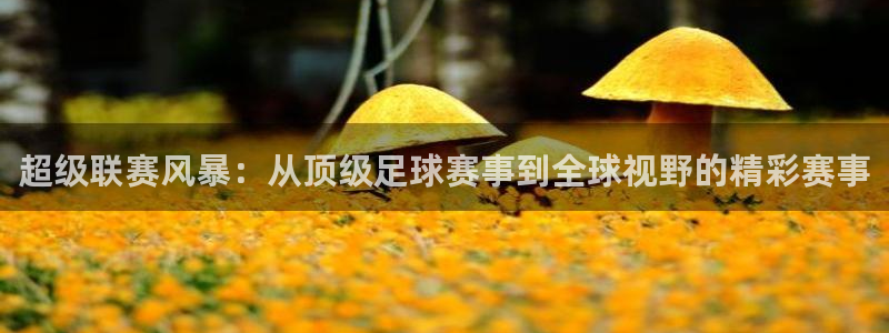 超级联赛风暴：从顶级足球赛事到全球视野的精彩赛事