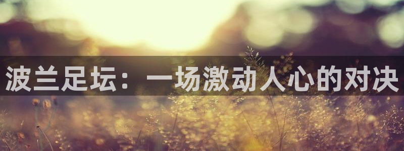 波兰足坛：一场激动人心的对决