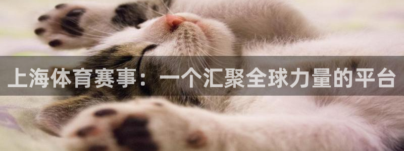 上海体育赛事：一个汇聚全球力量的平台