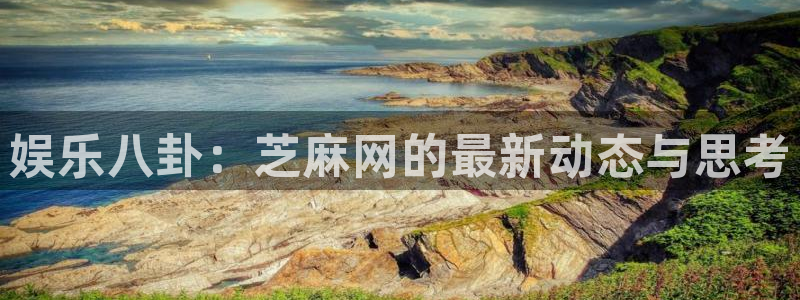 娱乐八卦：芝麻网的最新动态与思考