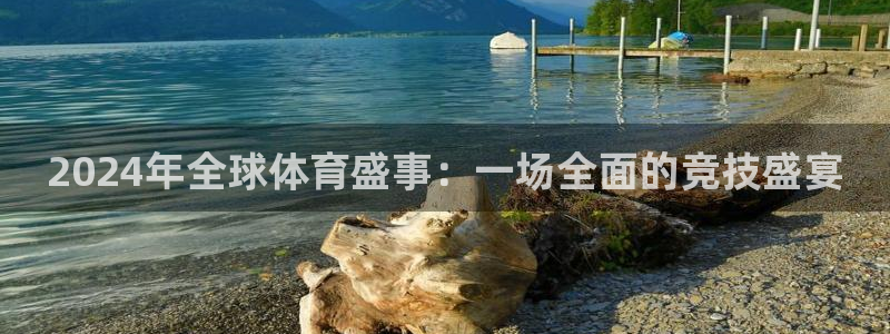 2024年全球体育盛事：一场全面的竞技盛宴
