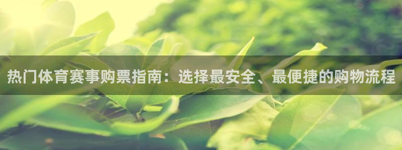 热门体育赛事购票指南：选择最安全、最便捷的购物流程