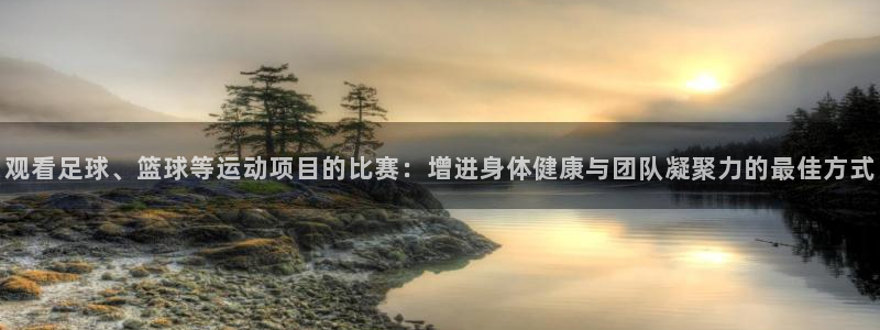 观看足球、篮球等运动项目的比赛：增进身体健康与团队凝聚力的最佳方式