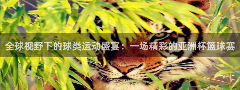 全球视野下的球类运动盛宴：一场精彩的亚洲杯篮球赛