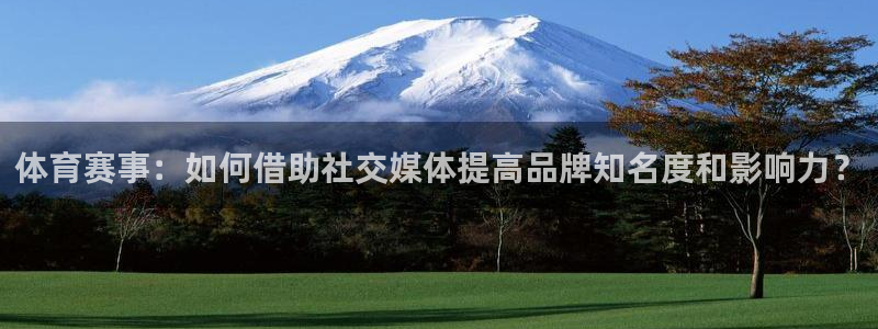 体育赛事：如何借助社交媒体提高品牌知名度和影响力？