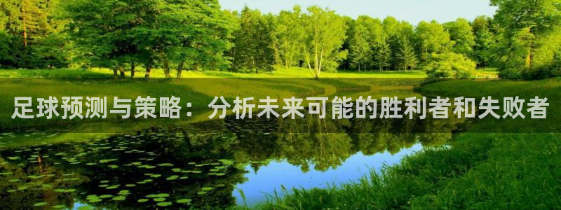 足球预测与策略：分析未来可能的胜利者和失败者