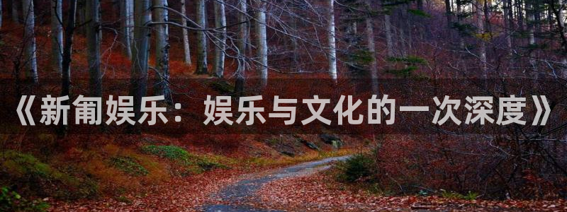 《新匍娱乐：娱乐与文化的一次深度》
