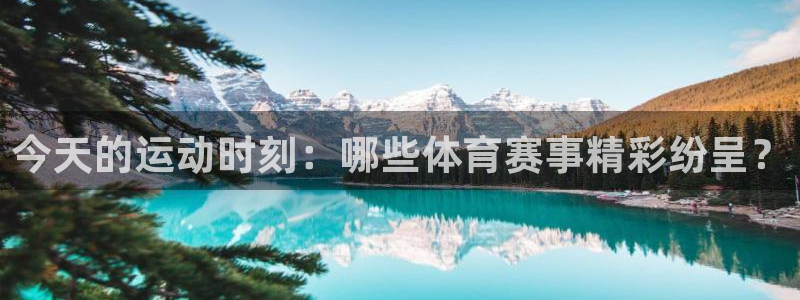 今天的运动时刻:哪些体育赛事精彩纷呈?