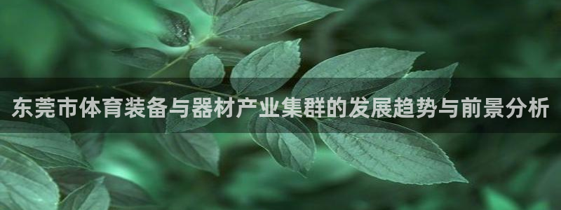 东莞市体育装备与器材产业集群的发展趋势与前景分析