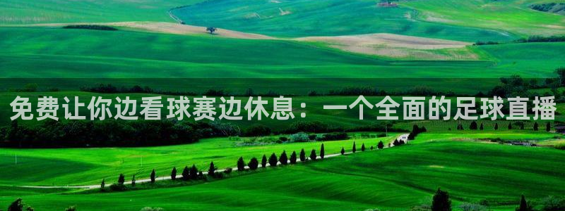 免费让你边看球赛边休息：一个全面的足球直播