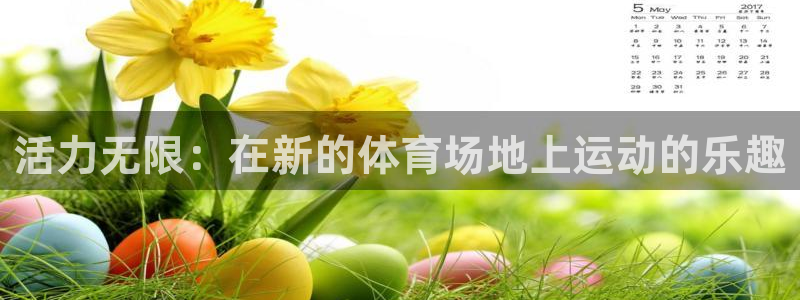 活力无限：在新的体育场地上运动的乐趣