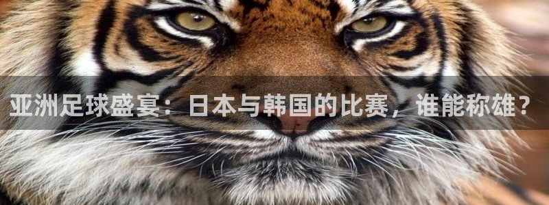 亚洲足球盛宴：日本与韩国的比赛，谁能称雄？