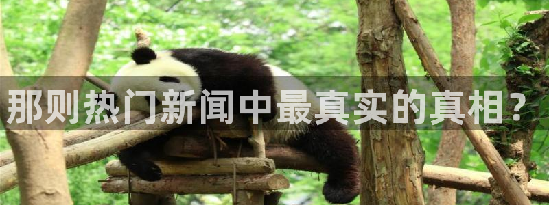 那则热门新闻中最真实的真相？
