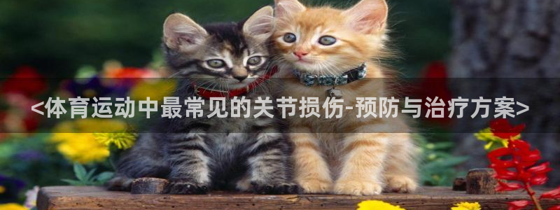 <体育运动中最常见的关节损伤-预防与治疗方案>