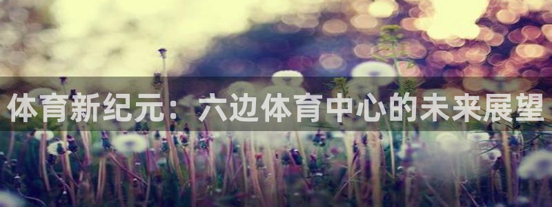 体育新纪元：六边体育中心的未来展望