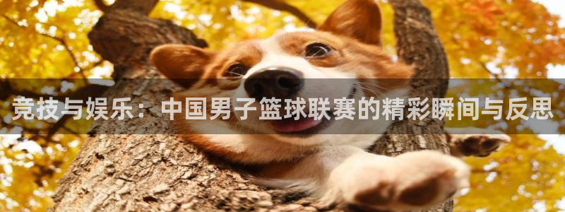 竞技与娱乐：中国男子篮球联赛的精彩瞬间与反思