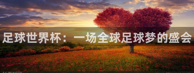 足球世界杯：一场全球足球梦的盛会